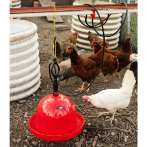 Chicken Automatic Bell Drinkers
