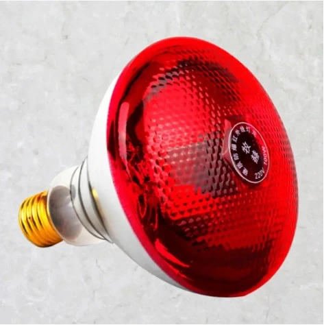 Poultry Heat Incubator Lamp