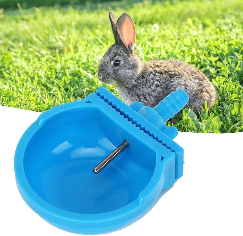 Rabbit Drinkers with Bowl