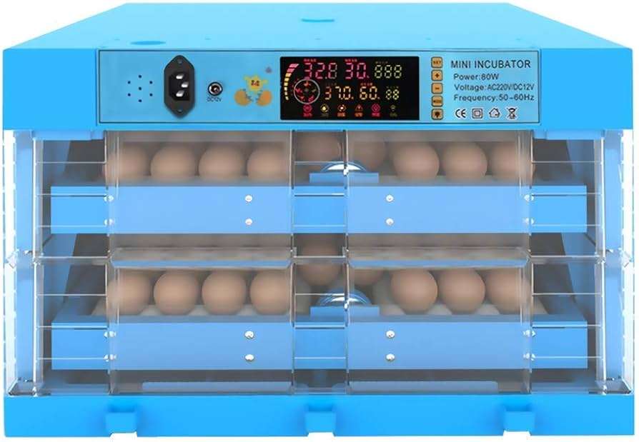 128 Eggs Incubator