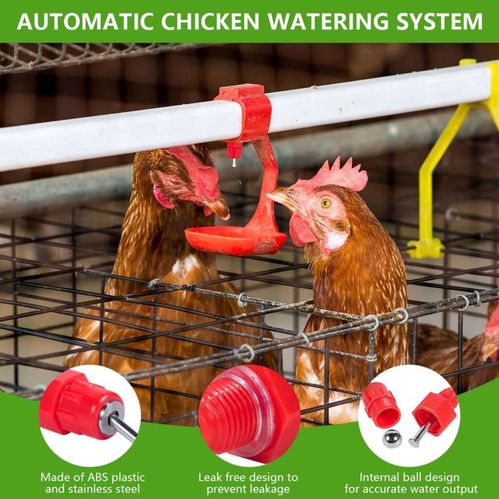 Automatic Chicken Nipple Drinkers