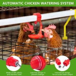 Kilimo Livestock and Poultry Equipments: Reliable Solutions for Modern Farmers