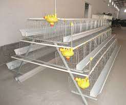 Poultry Layer Cages