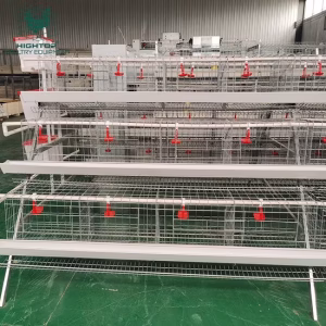 Poultry Layer Cages