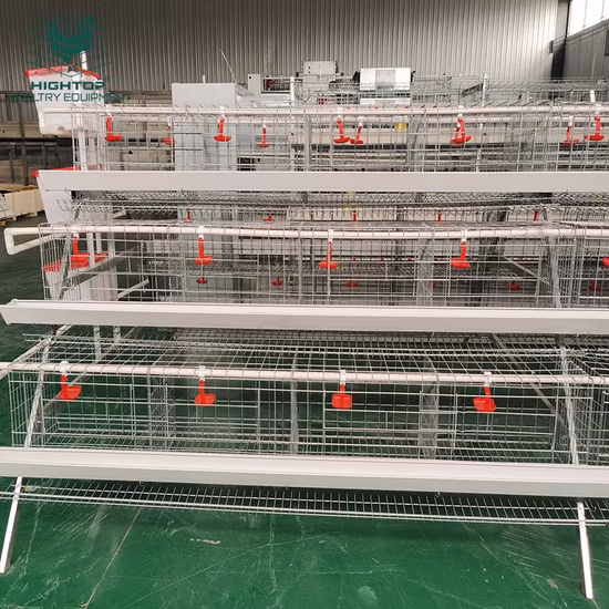 Poultry Layer Cages