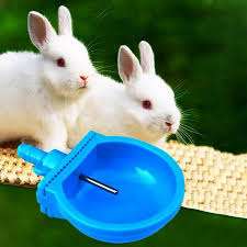 Rabbit Drinkers with Bowl