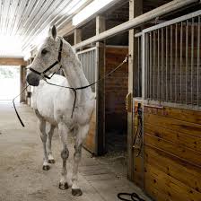 Barn & Stable Supplies