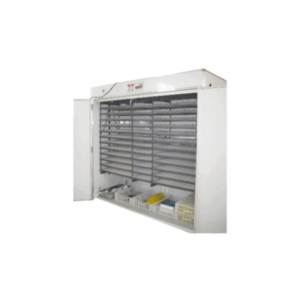 500-egg incubator in Kenya