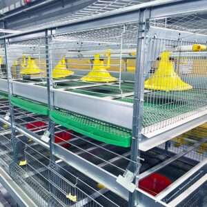 Broiler Cage System