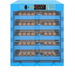 Egg Incubators in Kenya: Boost Poultry Productivity with Kilimo Livestock