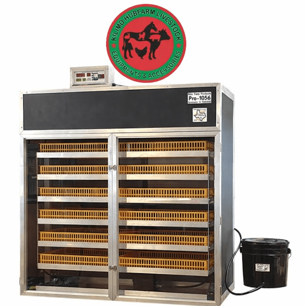 Chicken Incubator In Kenya